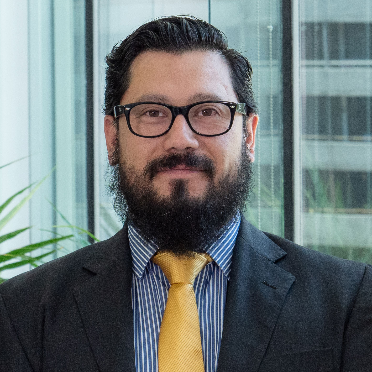 Hernán Rauque Ulloa